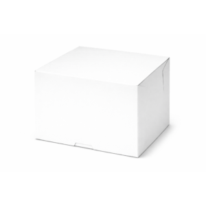 10x10x5.5 Cake Box