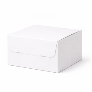 6x6x4 Cake Box